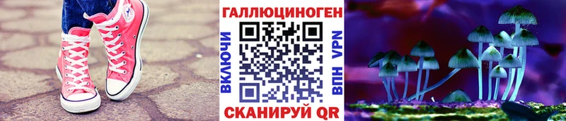 Псилоцибиновые грибы MAGIC MUSHROOMS  Купить где  Терек 