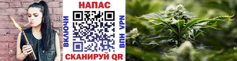 Купить где  Терек  Конопля AK-47 